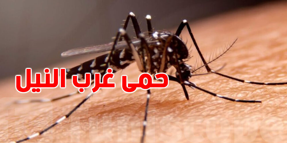 عاجل من زغوان: إصابة جديدة بحمى غرب النيل... شنيا قاعد صاير؟