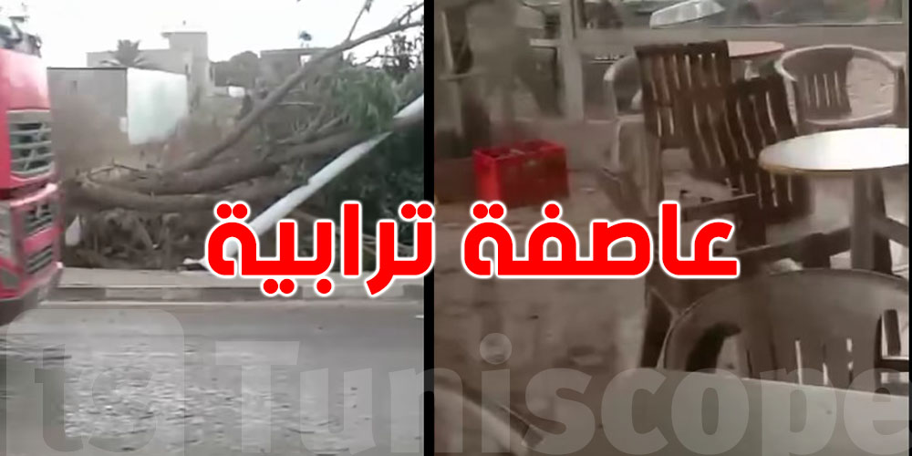 بالفيديو: عاصفة ترابية قوية تضرب بئر مشارڨة بزغوان وتسبب خسائر مادية كبيرة