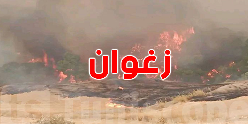 زغوان تصارع اللهيب: الحريق موش ساهل