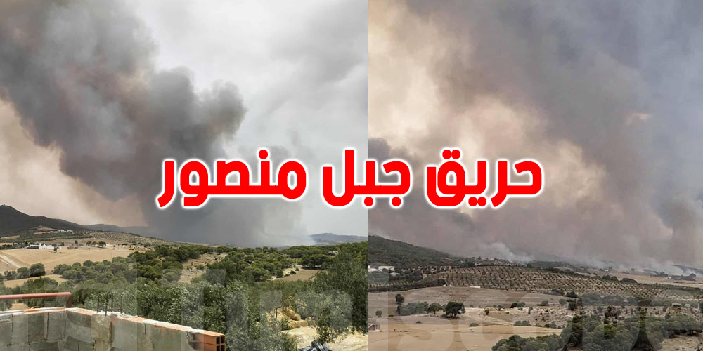 حريق جبل منصور في الفحص زغوان: ماذا يحدث؟