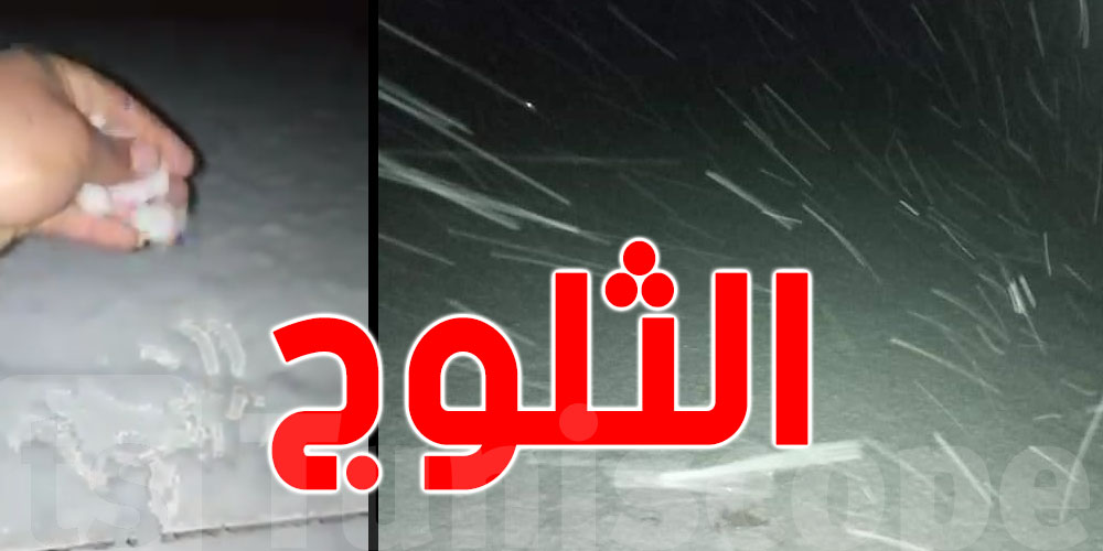 بالفيديو : تساقط الثلوج بمرتفعات معتمدية فوسانة القصرين 