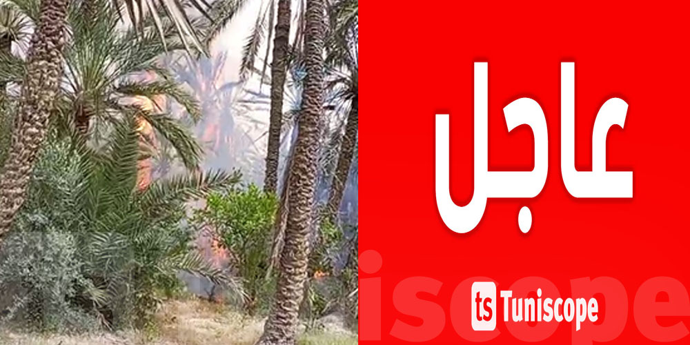 عاجل بالفيديو :حريق ضخم بواحة الحامة والأهالي يستغيثون 